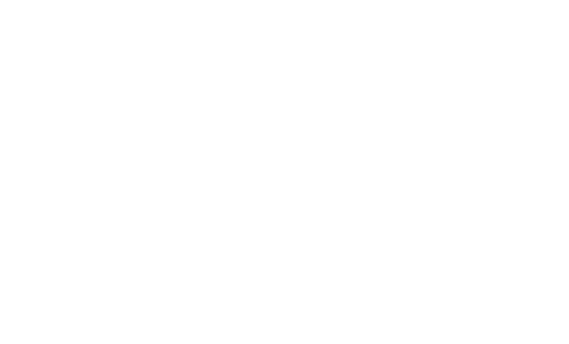 GAPI Logo